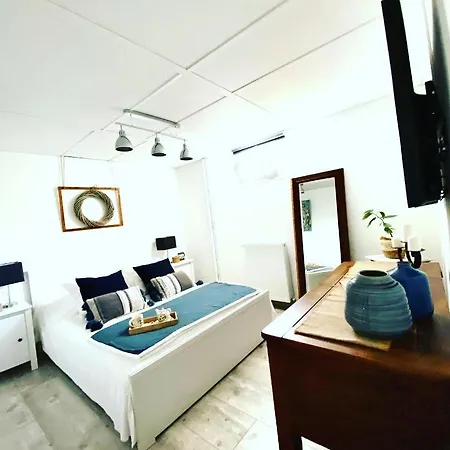 Magnolia 32