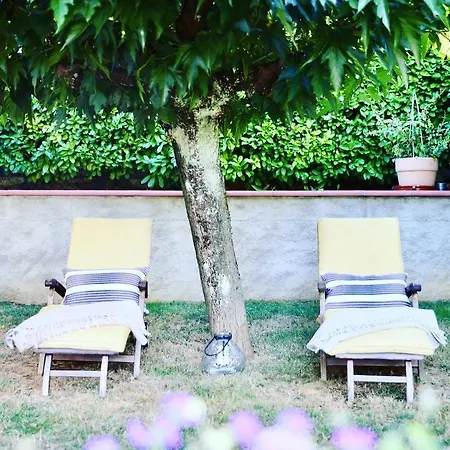 Magnolia 32 Auch