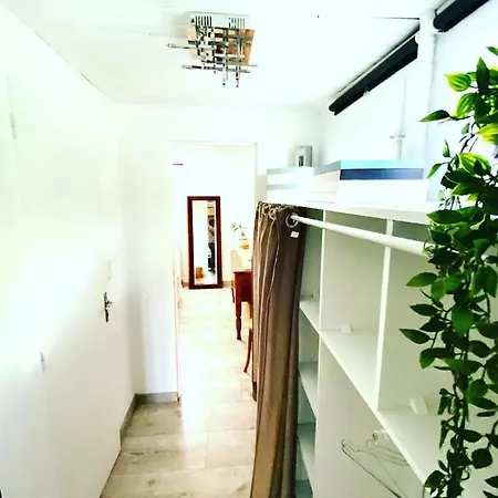 Magnolia 32 *