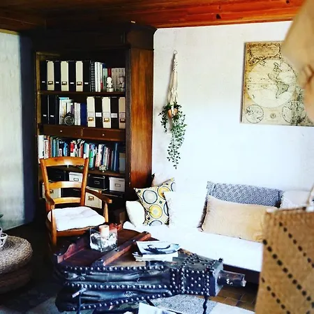 Magnolia 32 *